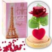 LEAN Eternal Rose in Dome with