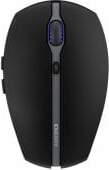 Cherry GENTIX BT datorpele