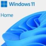 Microsoft Windows 11 Home ENG x64