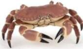 Papo Figurka Papo Krab