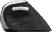 Rapoo EV250 Wireless Ergonomic Black datorpele