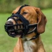 TRIXIE TRIXIE Flex muzzle for dog