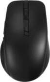 Asus MD200 Black datorpele