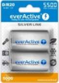 Everactive Silver Line D / R20