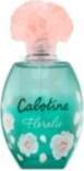 Gres _7509002 Gres Cabotine Floralie tualetes
