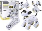 LEAN Toys Remote Controlled Interactive Robot