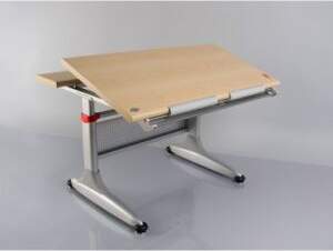 Leon desk