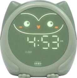 Cloud B SLEEPY OWL
