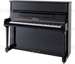Blüthner Model D