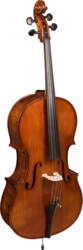 Hora Master C400 čells