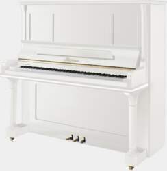 Blüthner Model S pianīns