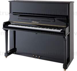 Blüthner Model B