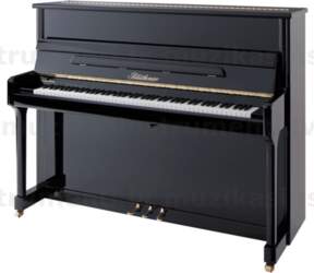 Blüthner Model C