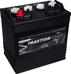 Intact Deep Cycle T875  8V 145Ah