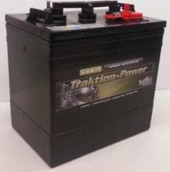 IntAct Traktion-Power Pro 6 V; 175