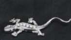 Uzraksts 3D - Lizard