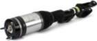 Air Spring Strut Arnott