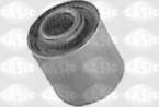 Spilvens SASIC