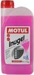 Antifrīzs MOTUL