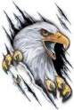 Auto uzlīme  "The eagle with