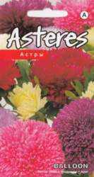 Asteres