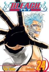 Bleach, Vol. 24