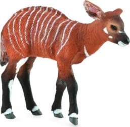 Bongo govs - Collecta