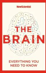 Brain: Everything You Need to Know