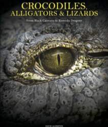 Crocodiles, Alligators & Lizards: From Black