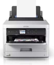 Epson C13T01D300