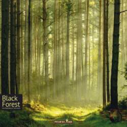 Galda spēle Black Forest