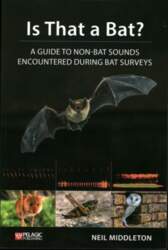 Is That a Bat?: A