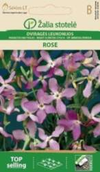 MATIOLAS ROSE