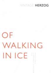 Of Walking In Ice: Munich -