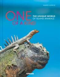 One of a Kind: The Unique