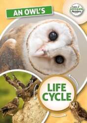 Owl`s Life Cycle