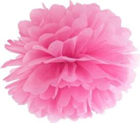 Pompons, 15 cm, 1 gab.