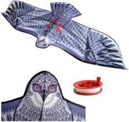 Pūķis Ērglis 50 cm