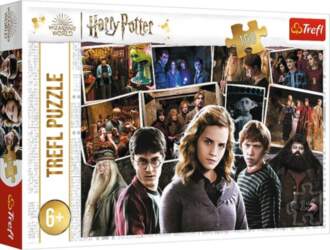 Puzle Trefl Harry Potter, 160 gab