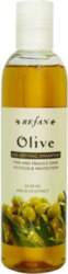 Šampūns Olive Refan