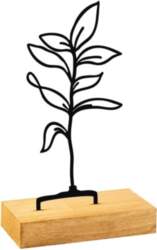 Statuete Sapling, 1 gab.