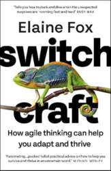 Switchcraft: How Agile Thinking Can Help
