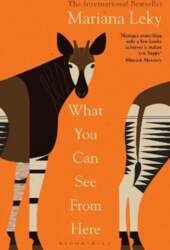 What You Can See From Here: