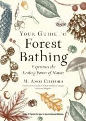 Your Guide to Forest Bathing (Expanded