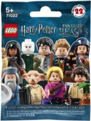 71022 LEGO® Harry Potter mini figūriņa