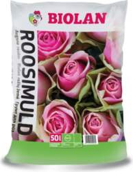 Augsne Rozēm