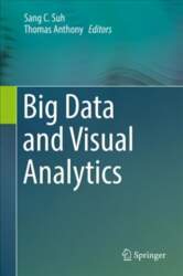 Big Data and Visual Analytics 1st