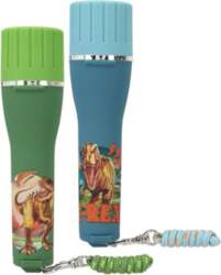 Dino World - Torch With Timer