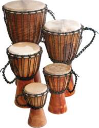 Džembe Terre Beginner