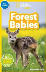 Forest Babies (Pre-Reader)